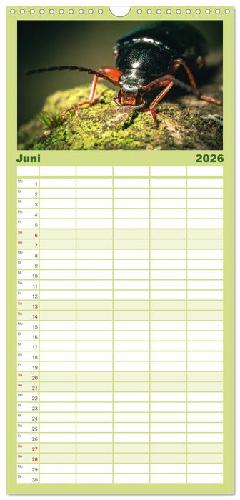 Makrowelten Tierreich (CALVENDO Familienplaner 2026)