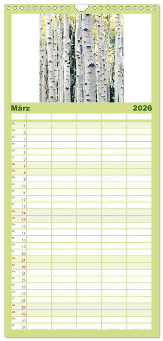 Eine Reise durch die Wälder dieser Welt (CALVENDO Familienplaner 2026)