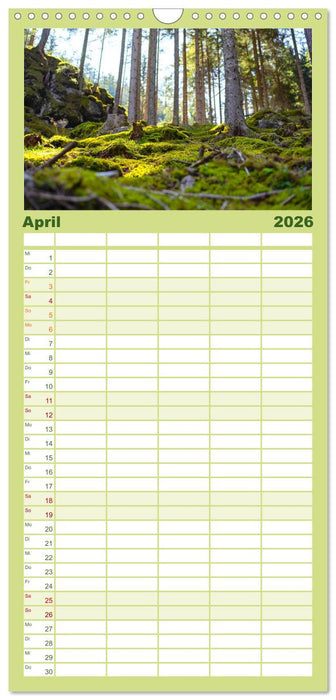 Eine Reise durch die Wälder dieser Welt (CALVENDO Familienplaner 2026)