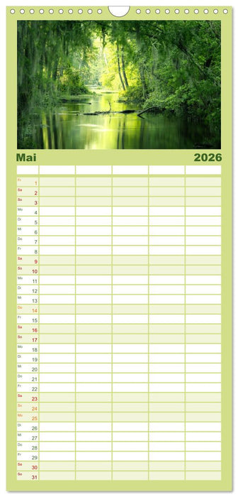 Eine Reise durch die Wälder dieser Welt (CALVENDO Familienplaner 2026)