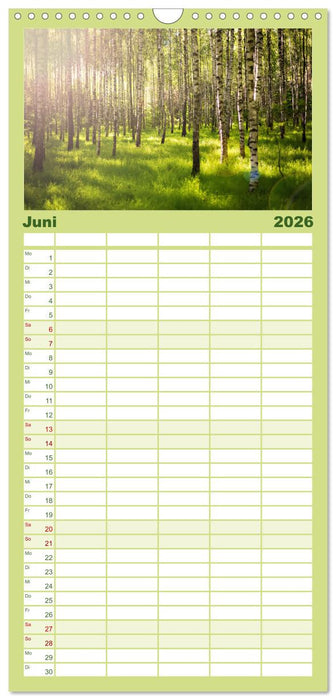 Eine Reise durch die Wälder dieser Welt (CALVENDO Familienplaner 2026)