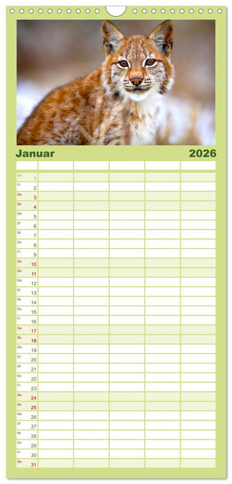 Die Tiere des Waldes (CALVENDO Familienplaner 2026)