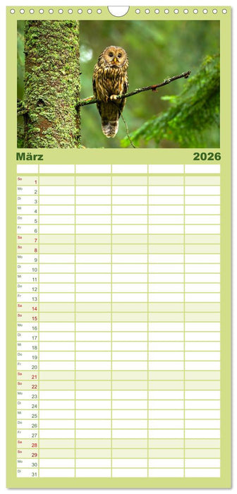 Die Tiere des Waldes (CALVENDO Familienplaner 2026)