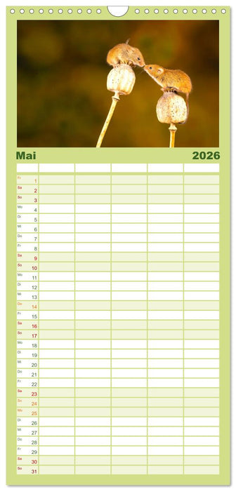 Die Tiere des Waldes (CALVENDO Familienplaner 2026)