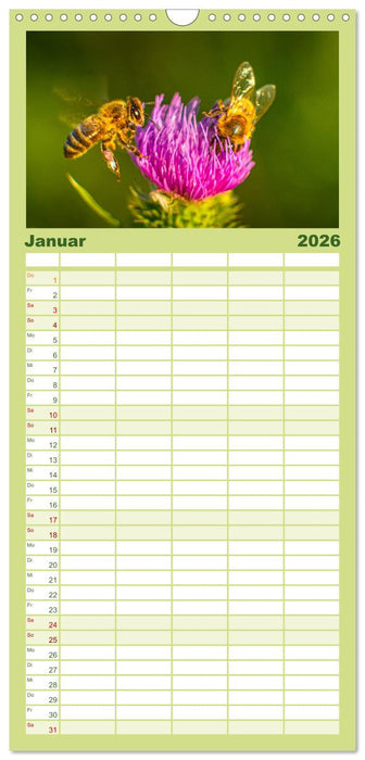Die Welt der fleißigen Bienen (CALVENDO Familienplaner 2026)