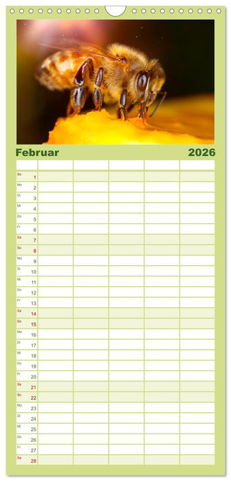 Die Welt der fleißigen Bienen (CALVENDO Familienplaner 2026)