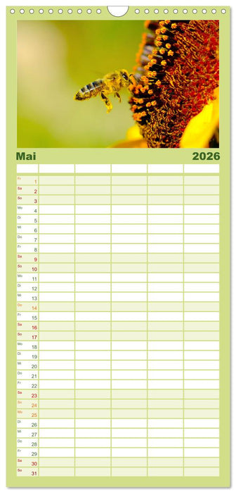 Die Welt der fleißigen Bienen (CALVENDO Familienplaner 2026)