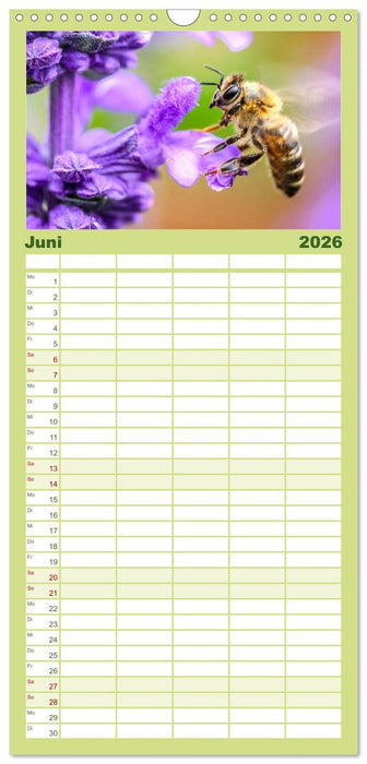 Die Welt der fleißigen Bienen (CALVENDO Familienplaner 2026)