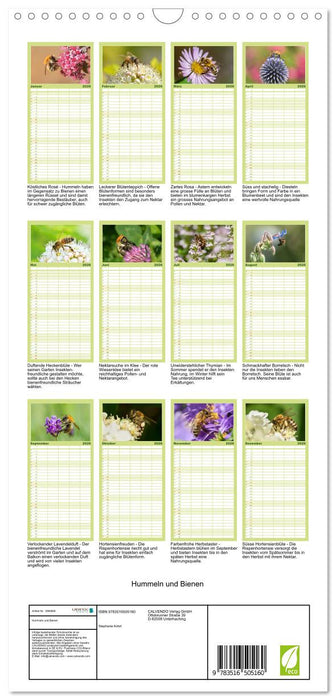 Hummeln und Bienen (CALVENDO Familienplaner 2026)