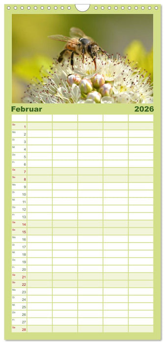 Hummeln und Bienen (CALVENDO Familienplaner 2026)