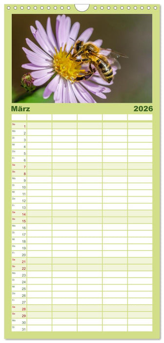 Hummeln und Bienen (CALVENDO Familienplaner 2026)