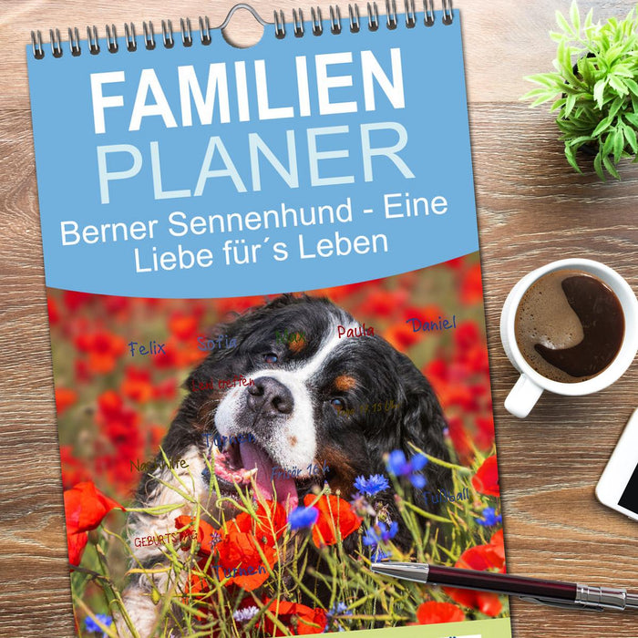 Berner Sennenhund - Eine Liebe für´s Leben (CALVENDO Familienplaner 2026)