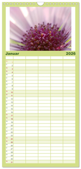 Traum Blumen (CALVENDO Familienplaner 2026)