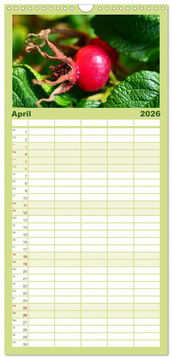 Traum Blumen (CALVENDO Familienplaner 2026)