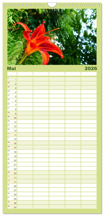 Traum Blumen (CALVENDO Familienplaner 2026)