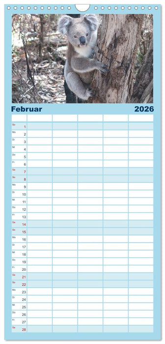 7 Kontinente - Weltweit durch das Jahr (CALVENDO Familienplaner 2026)