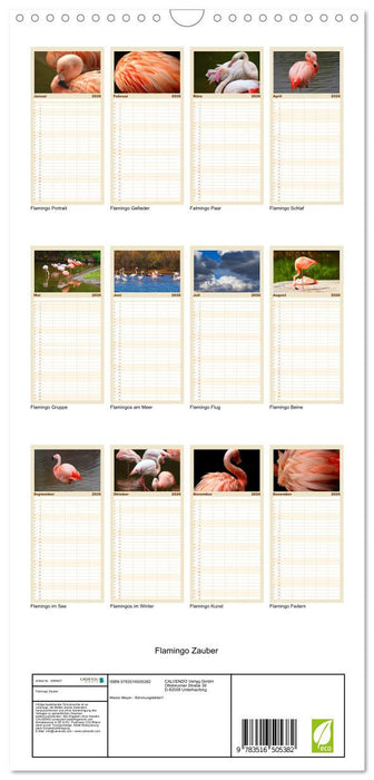 Flamingo Zauber (CALVENDO Familienplaner 2026)