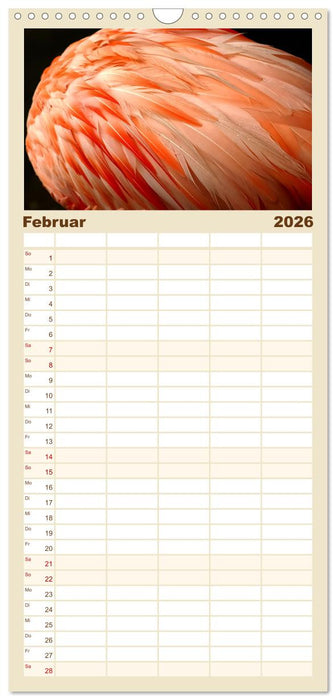 Flamingo Zauber (CALVENDO Familienplaner 2026)