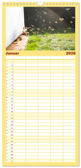 Bienen - Die fleißigen Tierchen die den Honig herstellen. (CALVENDO Familienplaner 2026)
