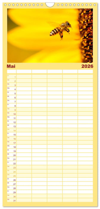 Bienen - Die fleißigen Tierchen die den Honig herstellen. (CALVENDO Familienplaner 2026)