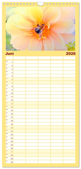 Bienen - Die fleißigen Tierchen die den Honig herstellen. (CALVENDO Familienplaner 2026)