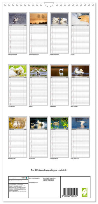 Der Höckerschwan elegant und stolz (CALVENDO Familienplaner 2026)
