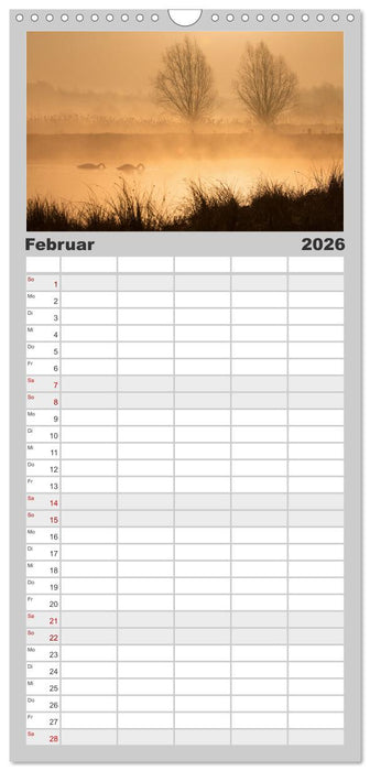 Der Höckerschwan elegant und stolz (CALVENDO Familienplaner 2026)