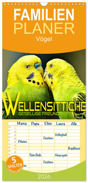 Wellensittiche - gesellige Freunde (CALVENDO Familienplaner 2026)