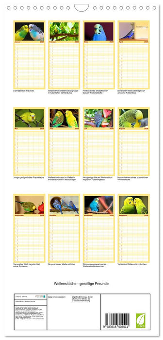Wellensittiche - gesellige Freunde (CALVENDO Familienplaner 2026)