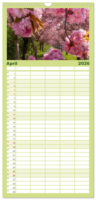 Magdeburg entdecken (CALVENDO Familienplaner 2026)