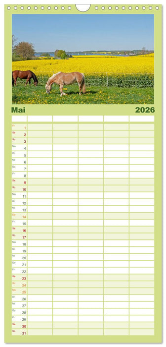 Die Schlei - Segelrevier und Naturpark (CALVENDO Familienplaner 2026)