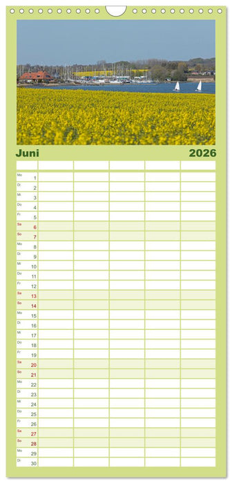 Die Schlei - Segelrevier und Naturpark (CALVENDO Familienplaner 2026)
