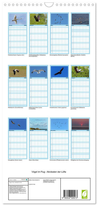 Vögel im Flug - Akrobaten der Lüfte (CALVENDO Familienplaner 2026)