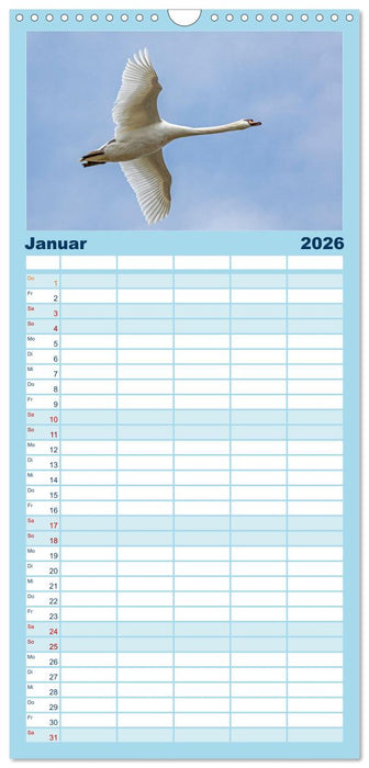 Vögel im Flug - Akrobaten der Lüfte (CALVENDO Familienplaner 2026)