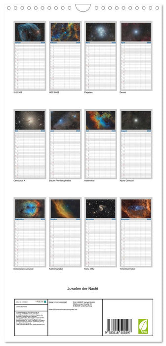 Juwelen der Nacht (CALVENDO Familienplaner 2026)