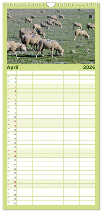 Extremadura Spanien (CALVENDO Familienplaner 2026)