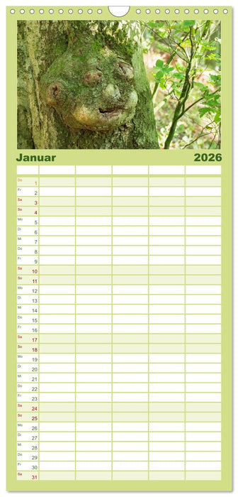 Walddämonen (CALVENDO Familienplaner 2026)