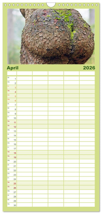 Walddämonen (CALVENDO Familienplaner 2026)