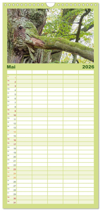 Walddämonen (CALVENDO Familienplaner 2026)