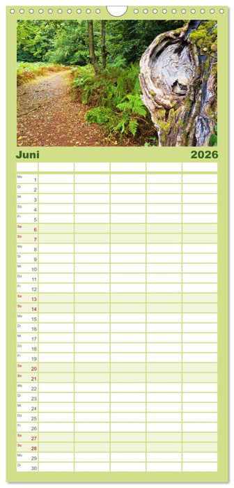 Walddämonen (CALVENDO Familienplaner 2026)