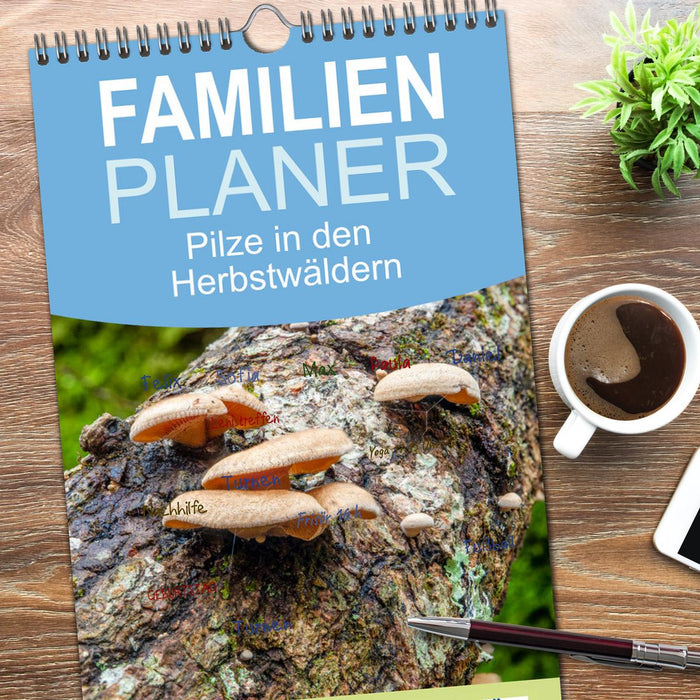 Pilze in den Herbstwäldern (CALVENDO Familienplaner 2026)