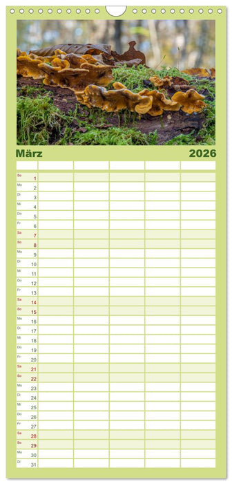 Pilze in den Herbstwäldern (CALVENDO Familienplaner 2026)