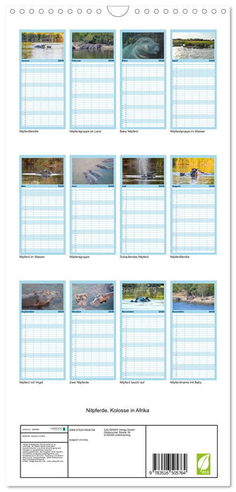 Nilpferde, Kolosse in Afrika (CALVENDO Familienplaner 2026)