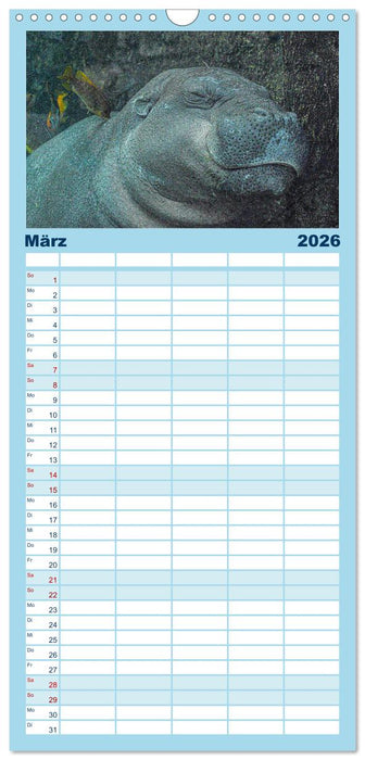 Nilpferde, Kolosse in Afrika (CALVENDO Familienplaner 2026)