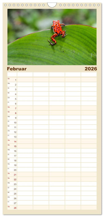 Frösche - Die wunderschöne Welt der bunten Hüpfer. (CALVENDO Familienplaner 2026)