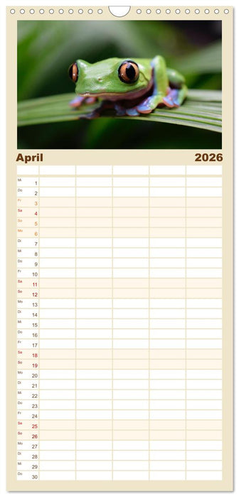 Frösche - Die wunderschöne Welt der bunten Hüpfer. (CALVENDO Familienplaner 2026)