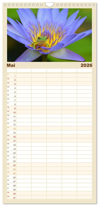 Frösche - Die wunderschöne Welt der bunten Hüpfer. (CALVENDO Familienplaner 2026)