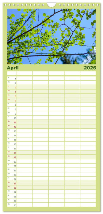 Feldaisttal bei Pregarten (CALVENDO Familienplaner 2026)