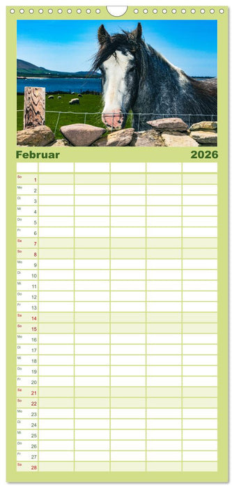 Wir sehen uns in Irland - Ring of Beara und Ring of Kerry (CALVENDO Familienplaner 2026)