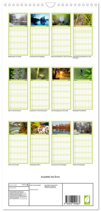Auwälder bei Enns (CALVENDO Familienplaner 2026)